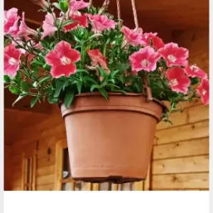 icon Home & Furniture